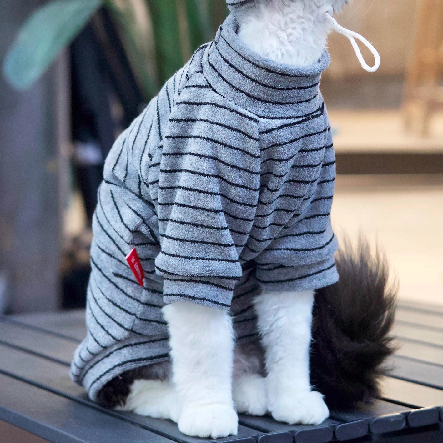 Sphynx Cat Turtleneck – Striped Cotton Base Layer (3 Colors)