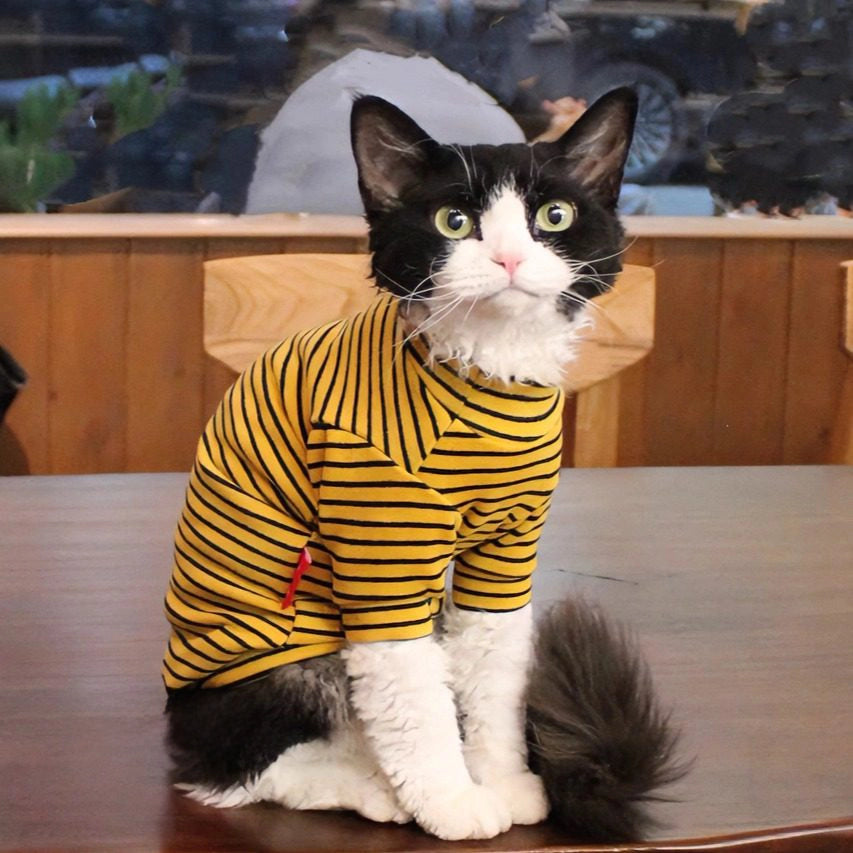 Sphynx Cat Turtleneck – Striped Cotton Base Layer (3 Colors)