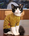 Sphynx Cat Turtleneck – Striped Cotton Base Layer (3 Colors)