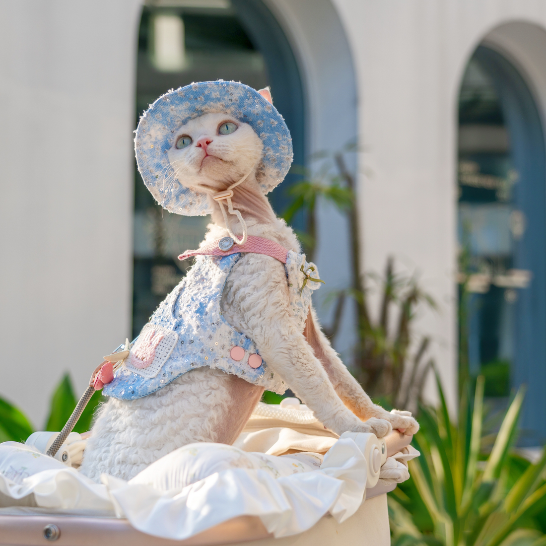 Denim Beaded Harness & Leash & Hat Set