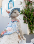 Denim Beaded Harness & Leash & Hat Set