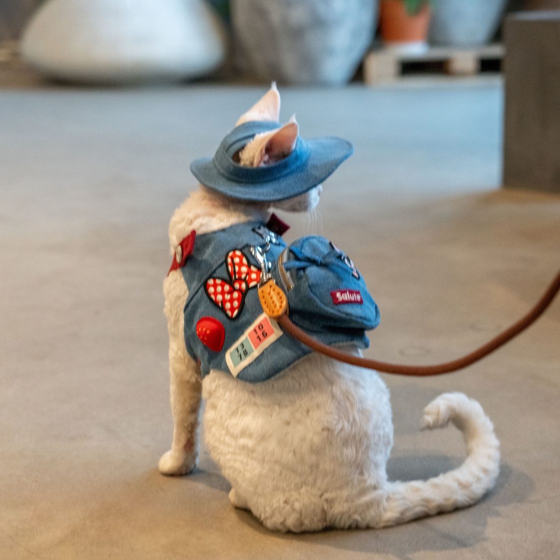 Denim Blue Patches Harness & Leash & Hat Set