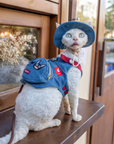Denim Blue Patches Harness & Leash & Hat Set
