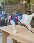 Denim Blue Patches Harness & Leash & Hat Set