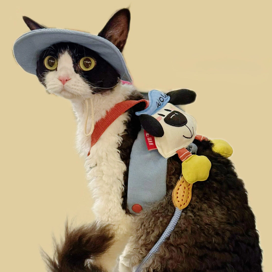 Cartoon Outdoor Cat Harness &amp; Leash + Hat Set