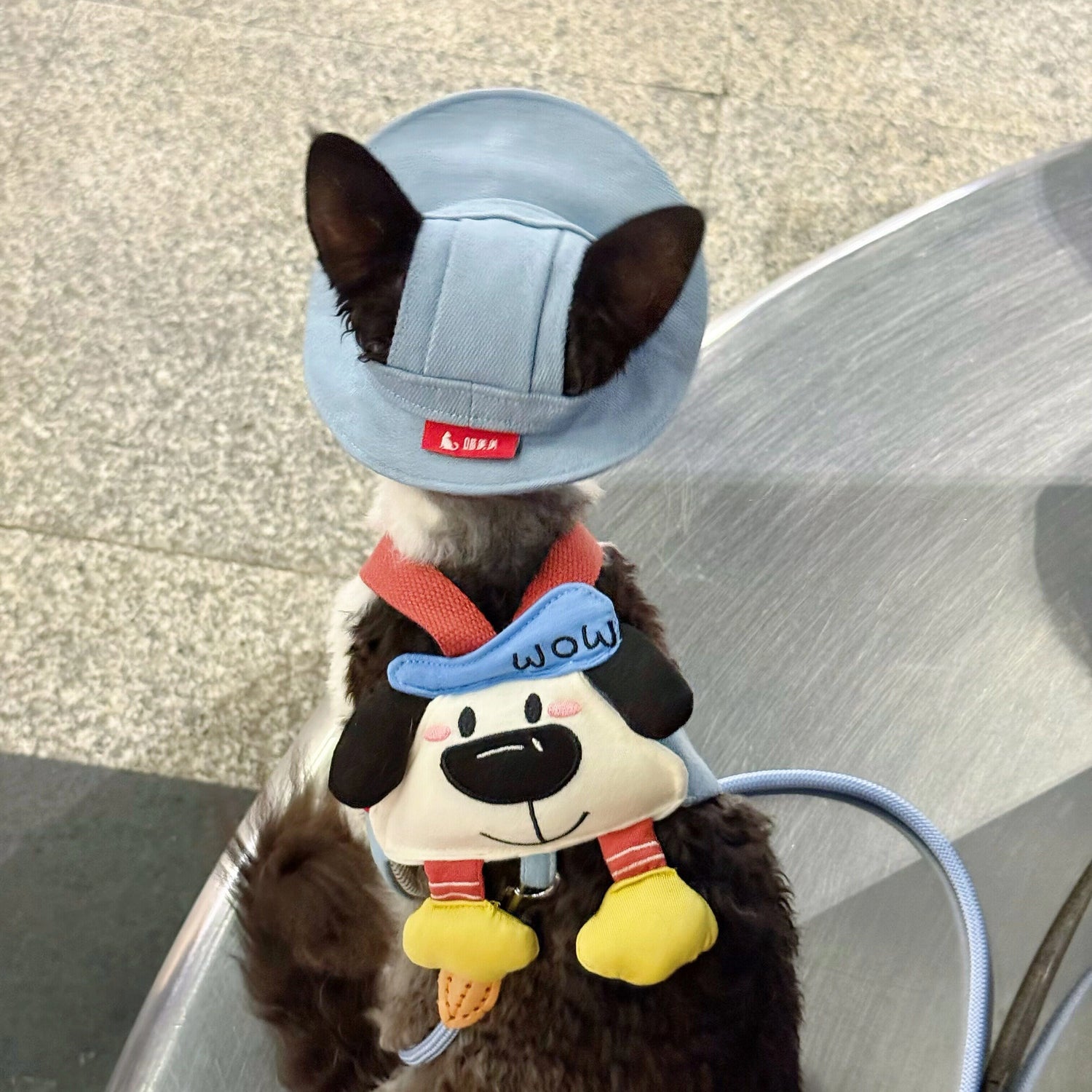 Cartoon Outdoor Cat Harness &amp; Leash + Hat Set