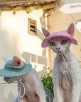 Devon Rex cats wearing pink and sage green sun hats with ears through openings