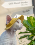 Side view of bucket hat brim shading a Devon Rex cat's nose and eyes