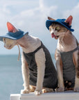 Two cats in denim sun hats sitting by the sea on a summer day