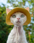 Devon Rex cat wearing a ginger yellow sun protection bucket hat outdoors with ears out