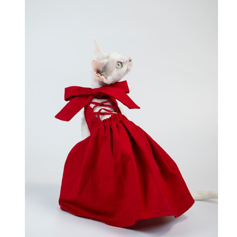 Elegant Red Backless Dress For Cats