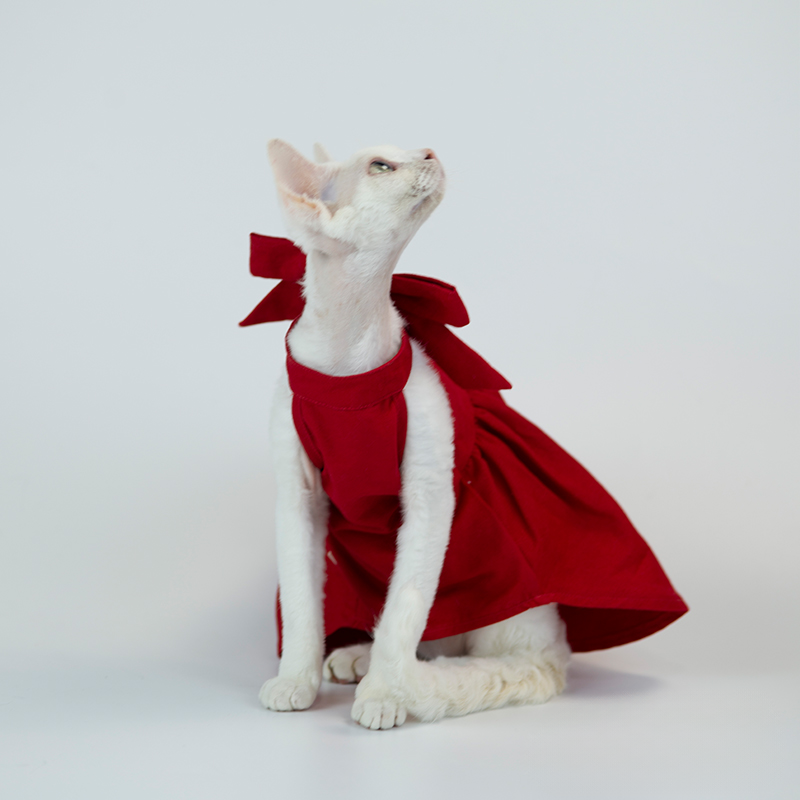Elegant Red Backless Dress For Cats