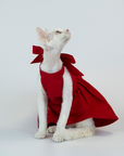 Cat Dress – Elegant Red Backless Gown for Sphynx & Devon Rex