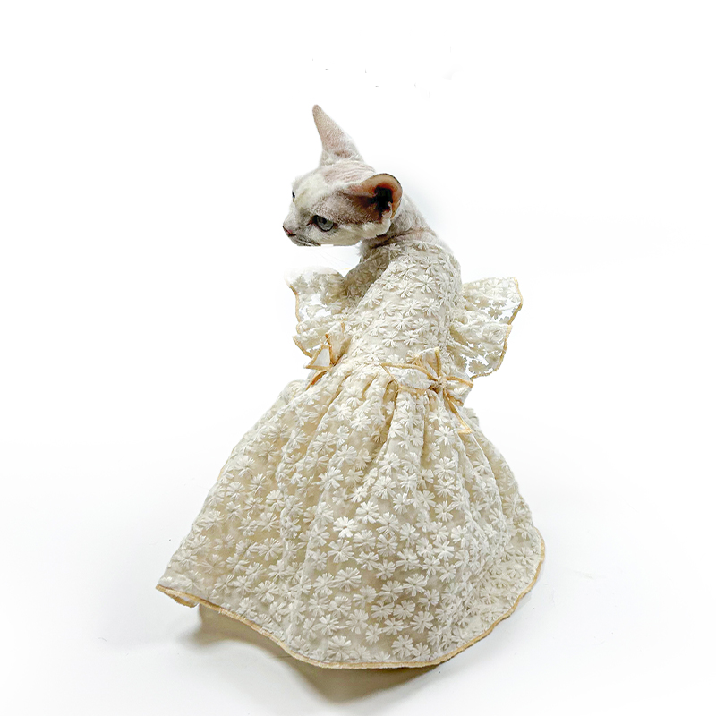 Embroidery Lace Cat Dress White