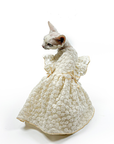 White Lace Cat Dress – Embroidered Occasion Gown for Sphynx