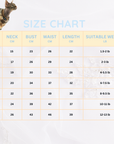 Floral Dress With Lace for Cats Cute Outfit