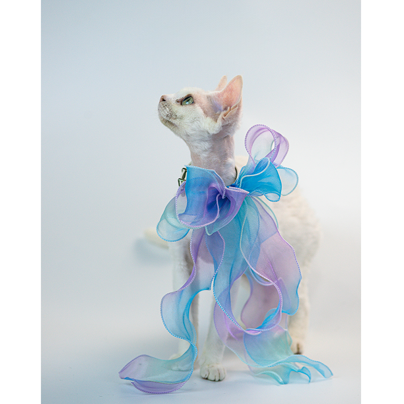 Fairy-Tale Bowtie For Cats and Dogs