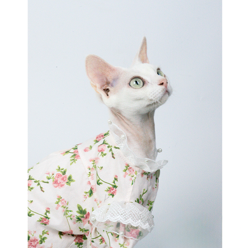 Floral Dress With Lace For Cats