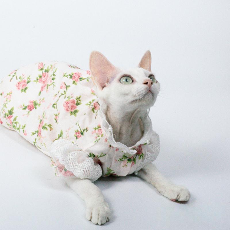 Floral Dress With Lace for Cats Cute Outfit