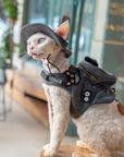 Cat Harness Backpack Set – Charcoal Denim (Harness, Leash & Hat)