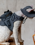 Cat Harness Backpack Set – Charcoal Denim (Harness, Leash & Hat)