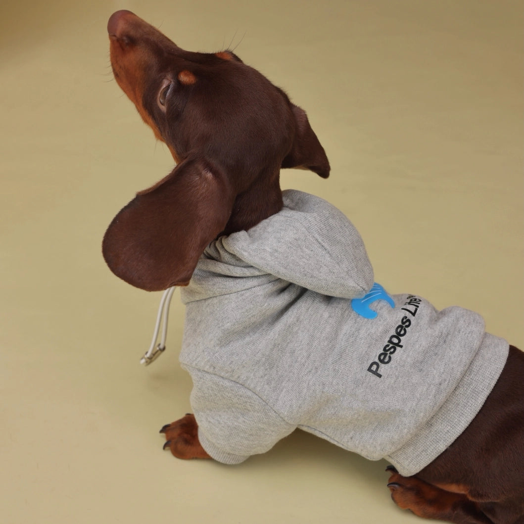 Gray Hoodie &amp; Blue Bandana Set for Greyhounds &amp; Whippets