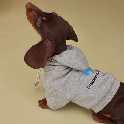 Gray Hoodie &amp; Blue Bandana Set for Greyhounds &amp; Whippets