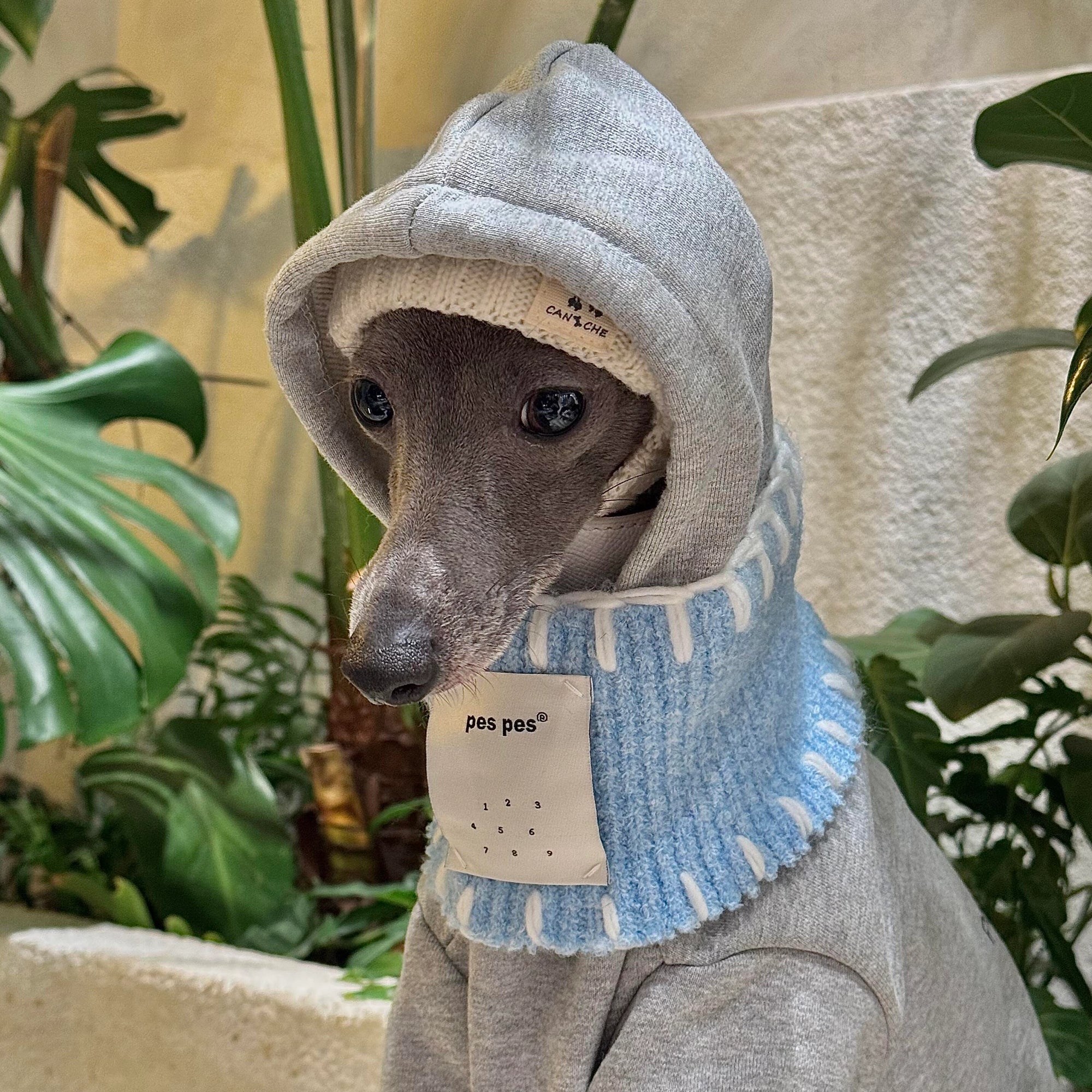 Whippet &amp; Greyhound Hoodie Set – Gray Fleece with Bandana