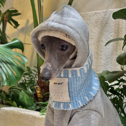 Gray Hoodie &amp; Blue Bandana Set for Greyhounds &amp; Whippets