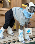 Whippet & Greyhound Hoodie Set – Gray Fleece with Bandana