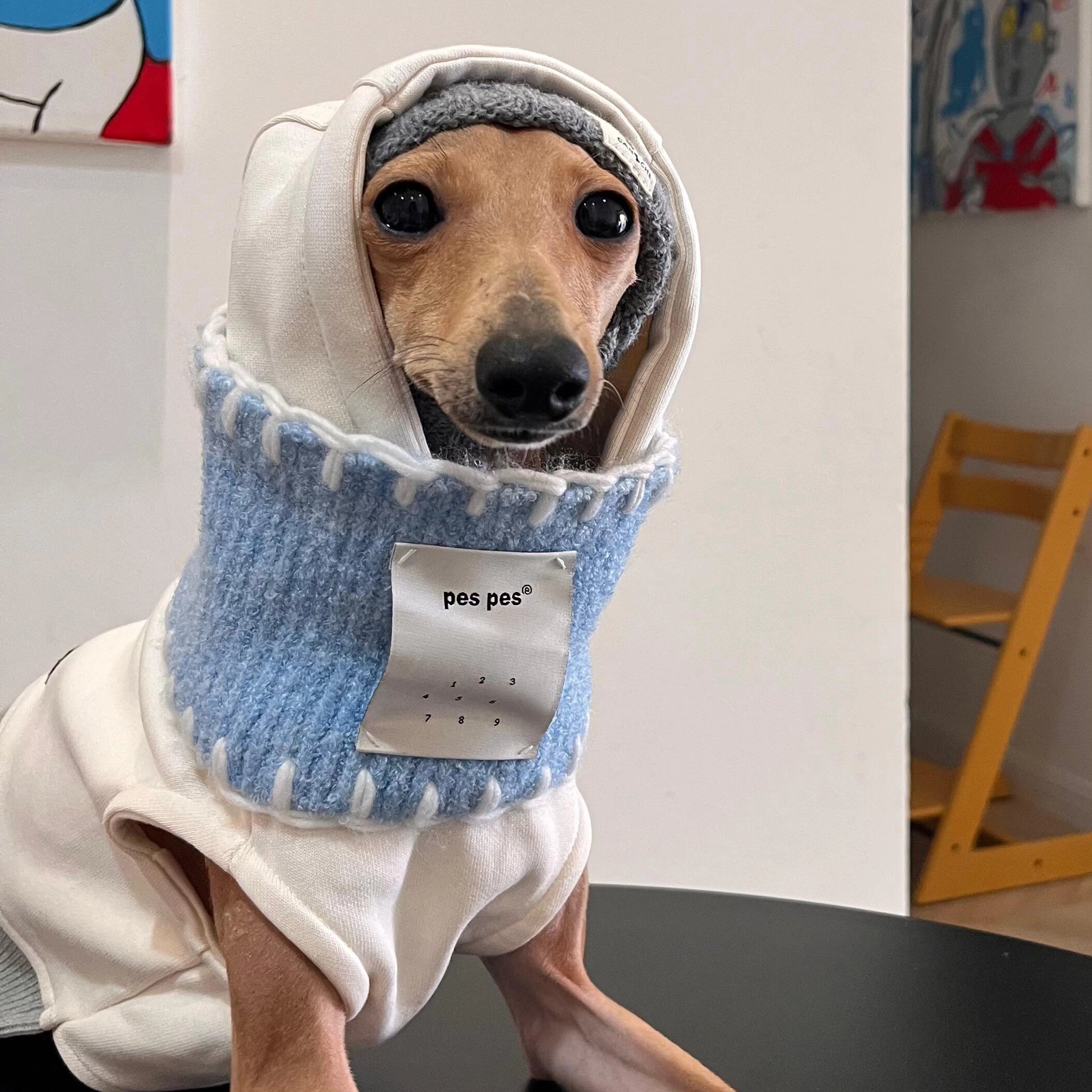 Gray Hoodie &amp; Blue Bandana Set for Greyhounds &amp; Whippets