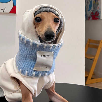 Gray Hoodie &amp; Blue Bandana Set for Greyhounds &amp; Whippets