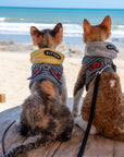Cat Hoodie Harness & Leash Set – Check Pattern with Hat