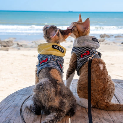 Hoodie Harness &amp; Leash Cat Outdoor Accessories