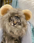 Lion Mane Wig Cat Costume