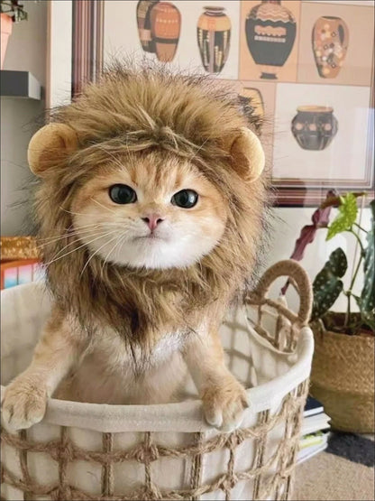 Lion Mane Wig Cat Costume