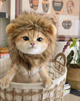 Lion Mane Wig Cat Costume