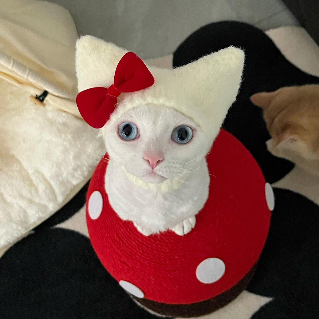 White with Red Bow Custom Knit Hat