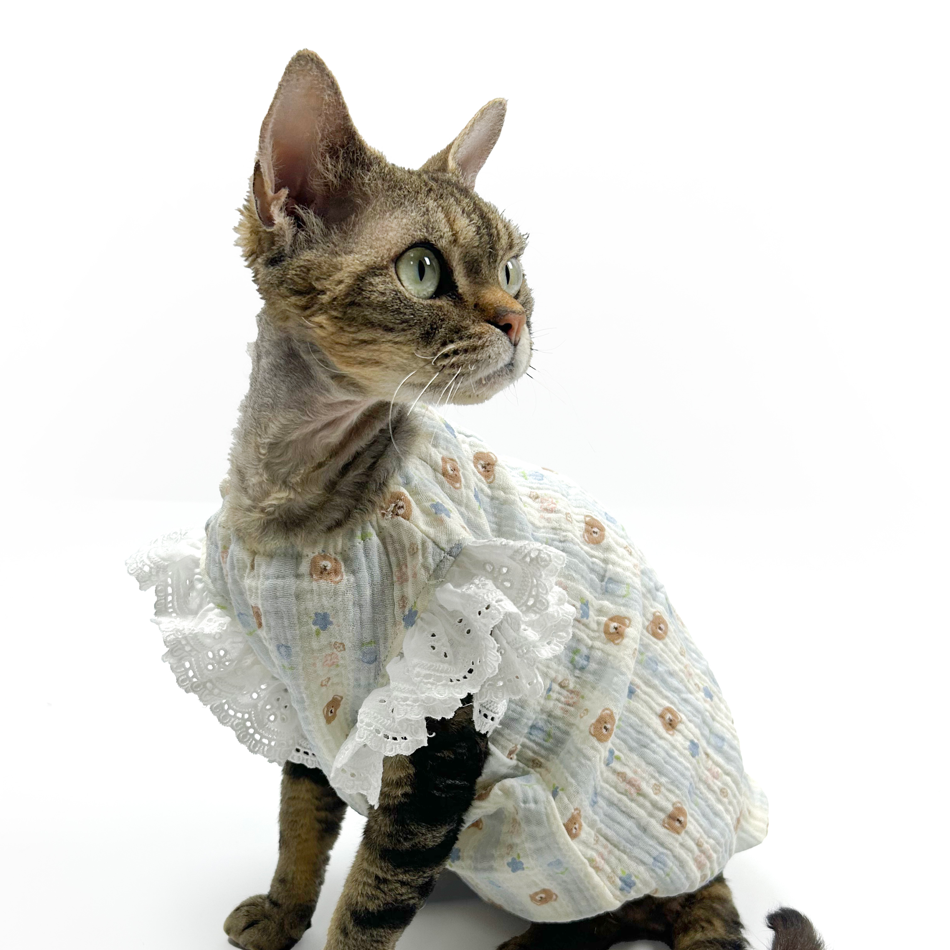 Lace-Trim Baby Dresses for Cats