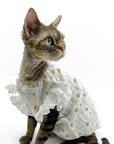 Lace-Trim Baby Dresses for Cats