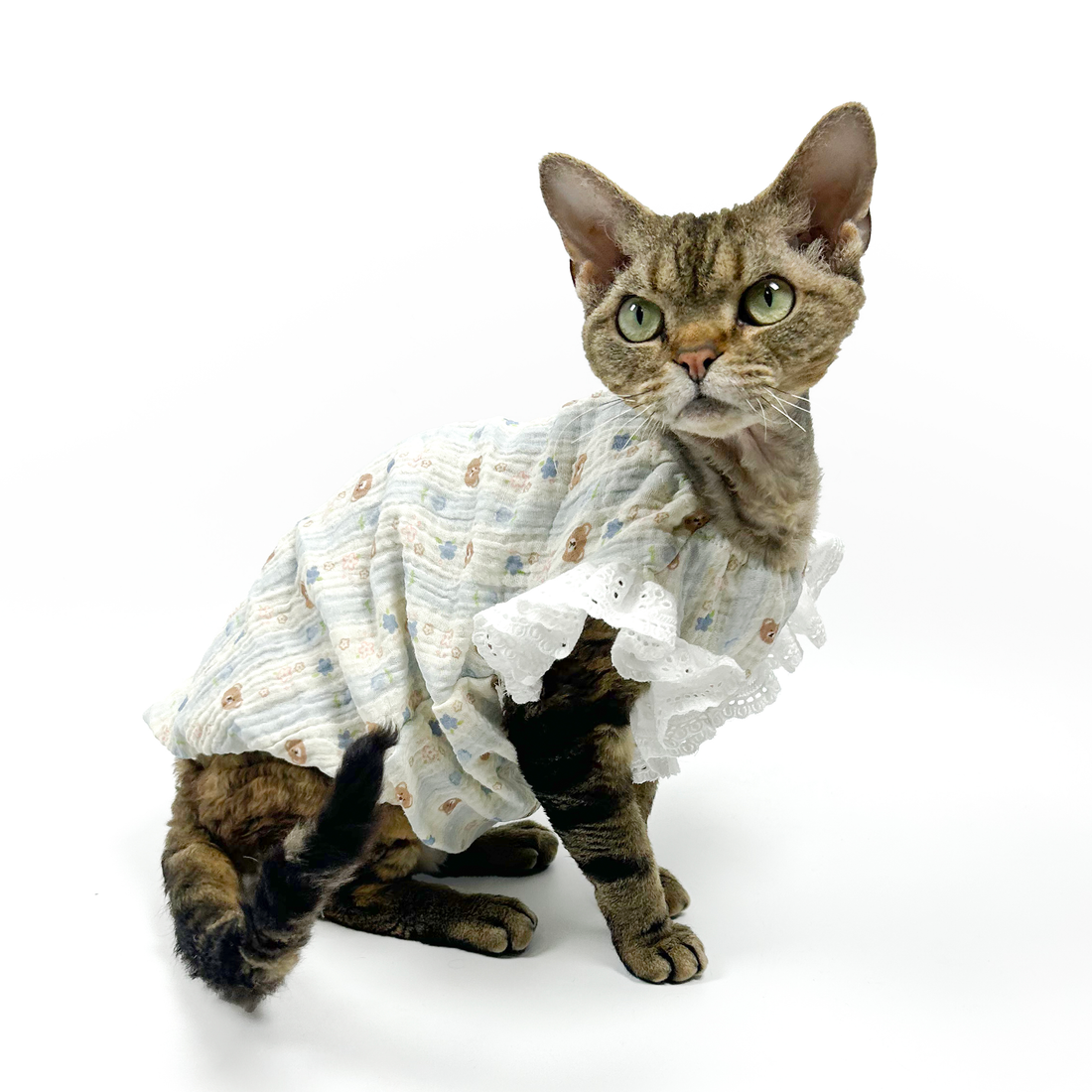Lace-Trim Baby Dresses for Cats