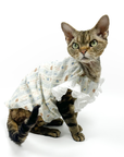 Lace-Trim Baby Dresses for Cats