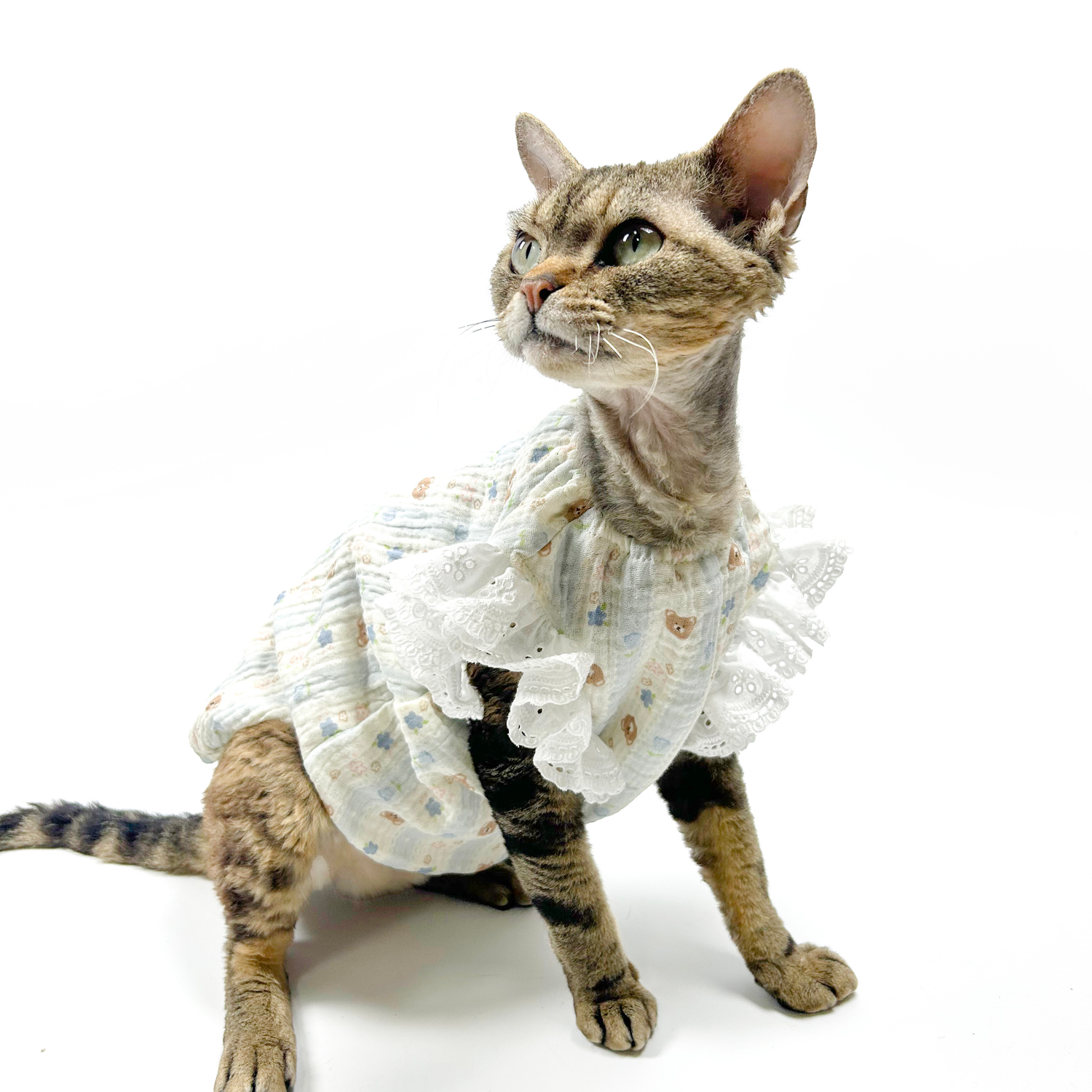 Lace-Trim Baby Dresses for Cats
