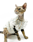 Lace-Trim Baby Dresses for Cats