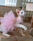 Cat Tutu Dress – Layered Tulle Cake Dress (Pink)
