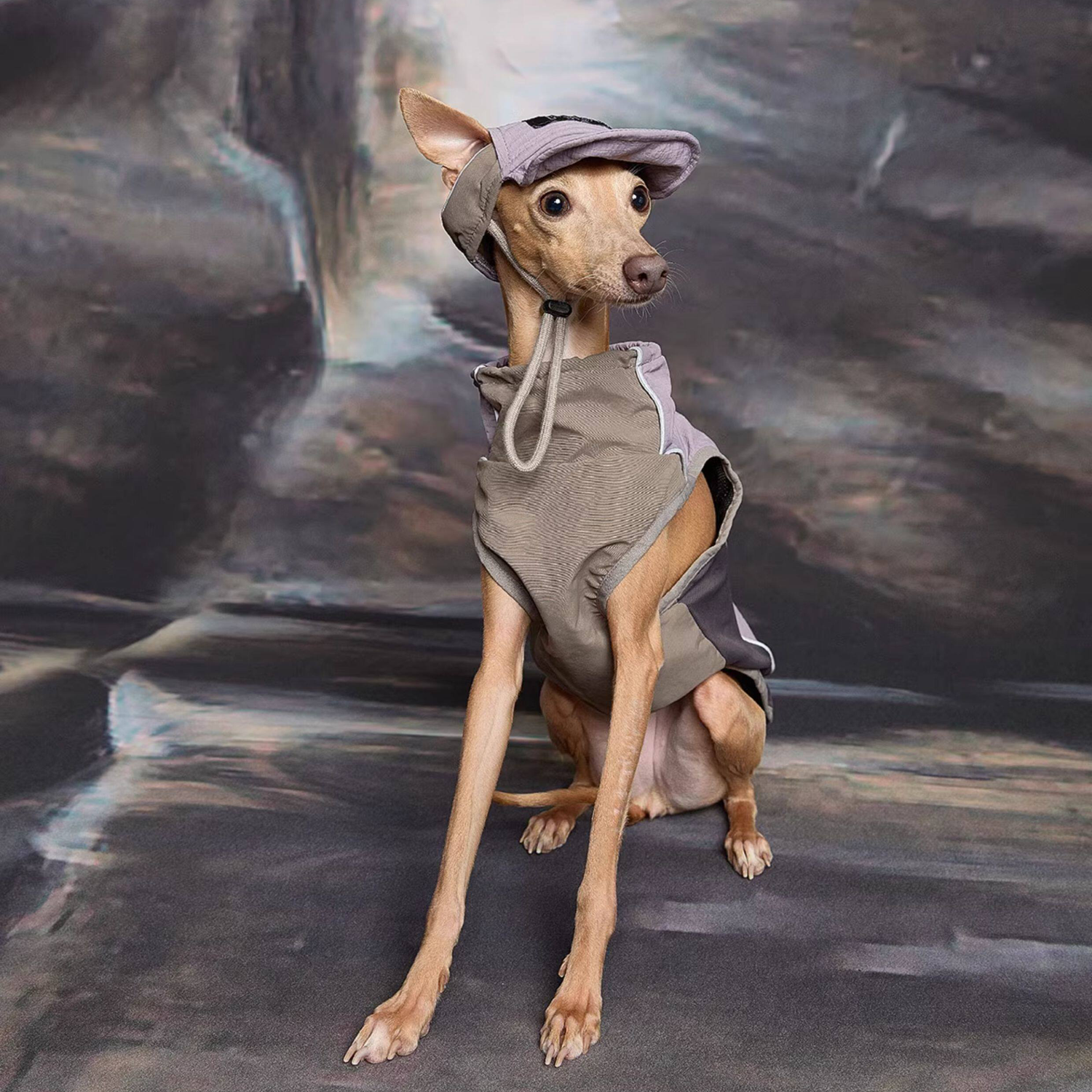Lilac Lightweight Waterproof Dog Vest with Detachable Hat for Italian Greyhound Whippet