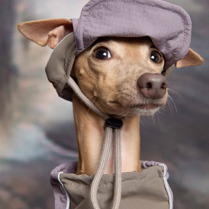 Lilac Lightweight Waterproof Dog Vest with Detachable Hat for Italian Greyhound Whippet