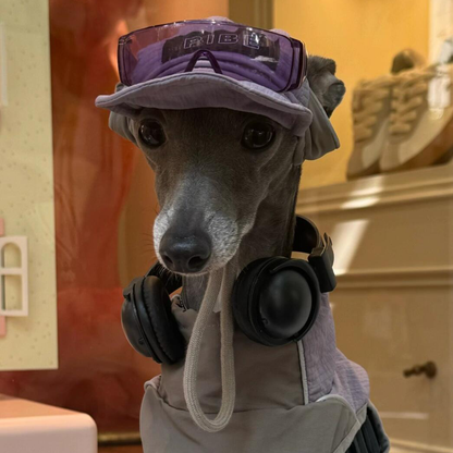 Lilac Lightweight Waterproof Dog Vest with Detachable Hat for Italian Greyhound Whippet