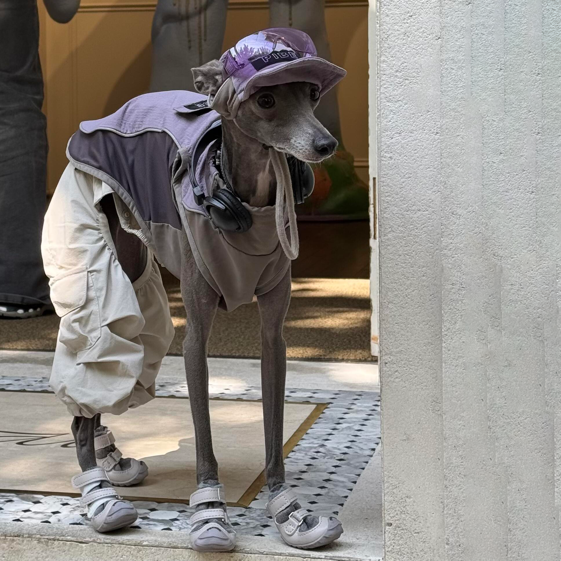 Lilac Lightweight Waterproof Dog Vest with Detachable Hat for Italian Greyhound Whippet