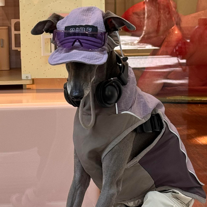 Lilac Lightweight Waterproof Dog Vest with Detachable Hat for Italian Greyhound Whippet